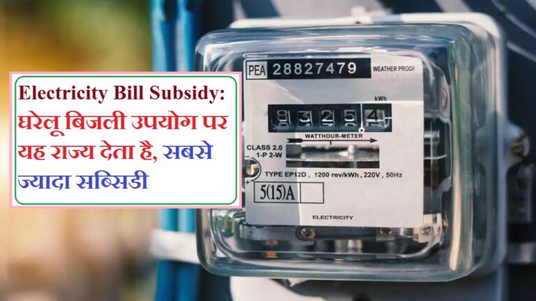 Electricity Bill Subsidy: घरेलू बिजली उपयोग पर यह राज्य देता है, सबसे ज्यादा सब्सिडी