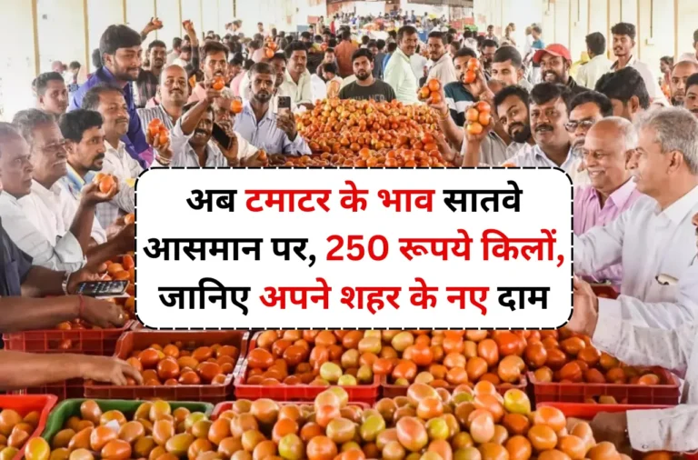 Tomato Price: अब टमाटर के भाव सातवे आसमान पर, 250 रूपये किलों, जानिए अपने शहर के नए दाम