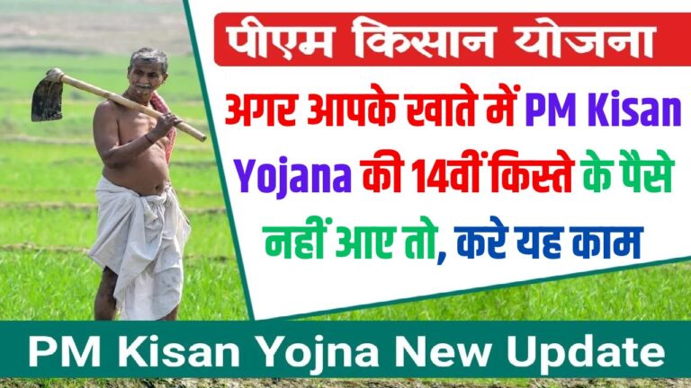 PM Kisan Yojana: अगर आपके खाते में 14वीं किस्ते के पैसे नहीं आए तो, करे यह काम