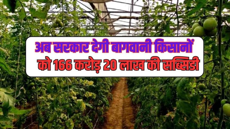 Farming: अब सरकार देगी बागवानी किसानों को 166 करोड़ 20 लाख की सब्सिडी, जानें पूरी जानकारी