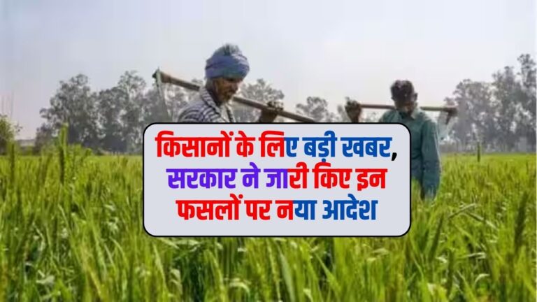 Farmer News: किसानों के लिए बड़ी खबर, सरकार ने जारी किए इन फसलों पर नया आदेश