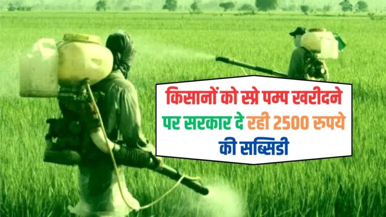 Subsidy Scheme: किसानों को स्प्रे पम्प खरीदने पर सरकार दे रही 2500 रुपये की सब्सिडी, ऐसे करे आवेदन