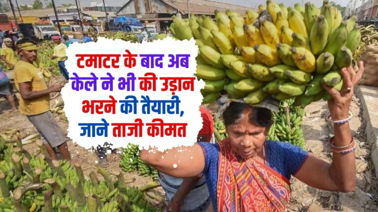 Banana Price: टमाटर के बाद अब केले ने भी की उड़ान भरने की तैयारी, जाने ताजी कीमत