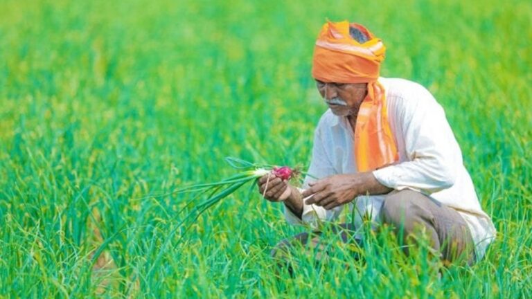 अब तीन लाख से अधिक किसानों के खाते में 1 अरब 76 करोड़ की राशि ट्रांसफर करेगी सरकार