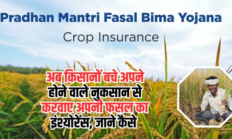 PM Fasal Bima Yojana: अब किसानों बचे अपने होने वाले नुकसान से करवाए अपनी फसल का इंश्योरेंस, जाने कैसे