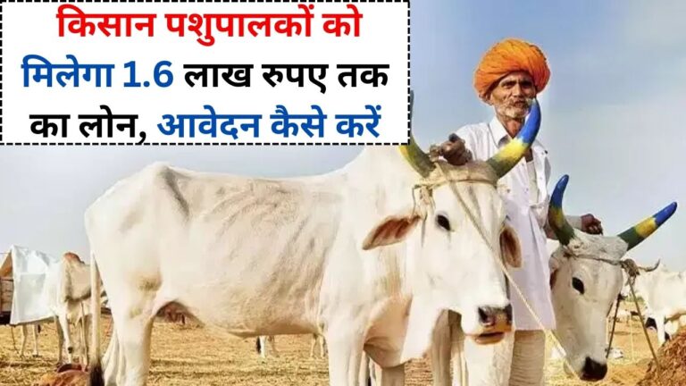 Pashu Kisan Credit Card Yojana 2024: किसान पशुपालकों को मिलेगा 1.6 लाख रुपए तक का लोन, आवेदन कैसे करें